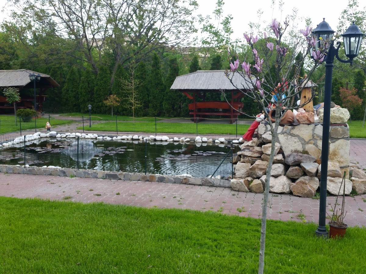 马尔维纳酒店餐厅 - foto 5