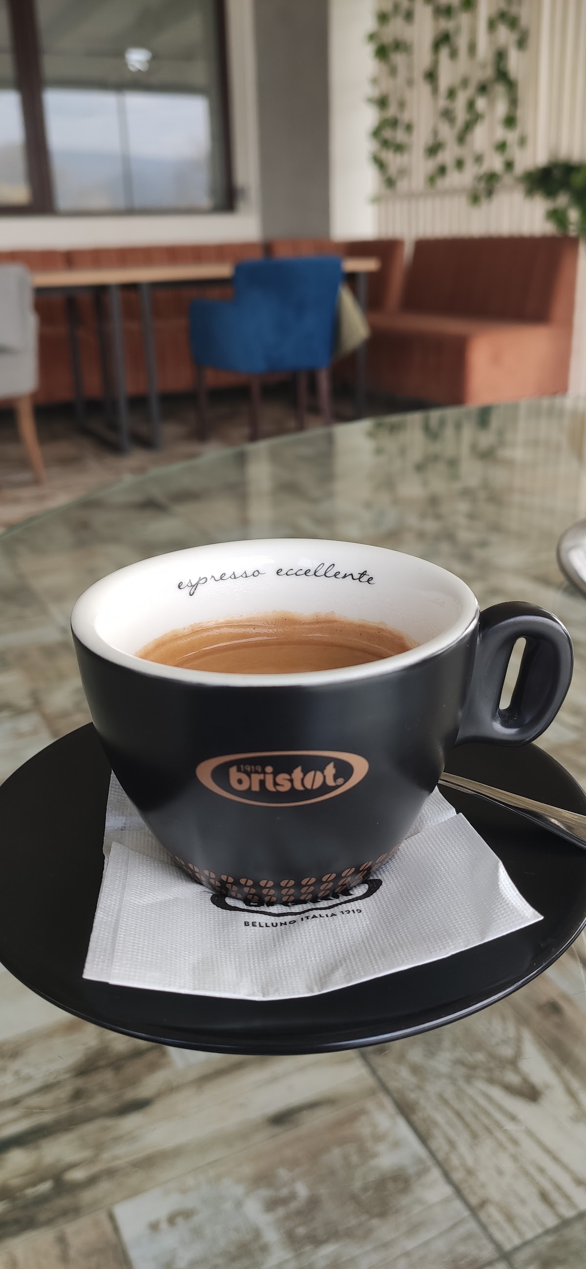 Hotel Restaurant Tismana
