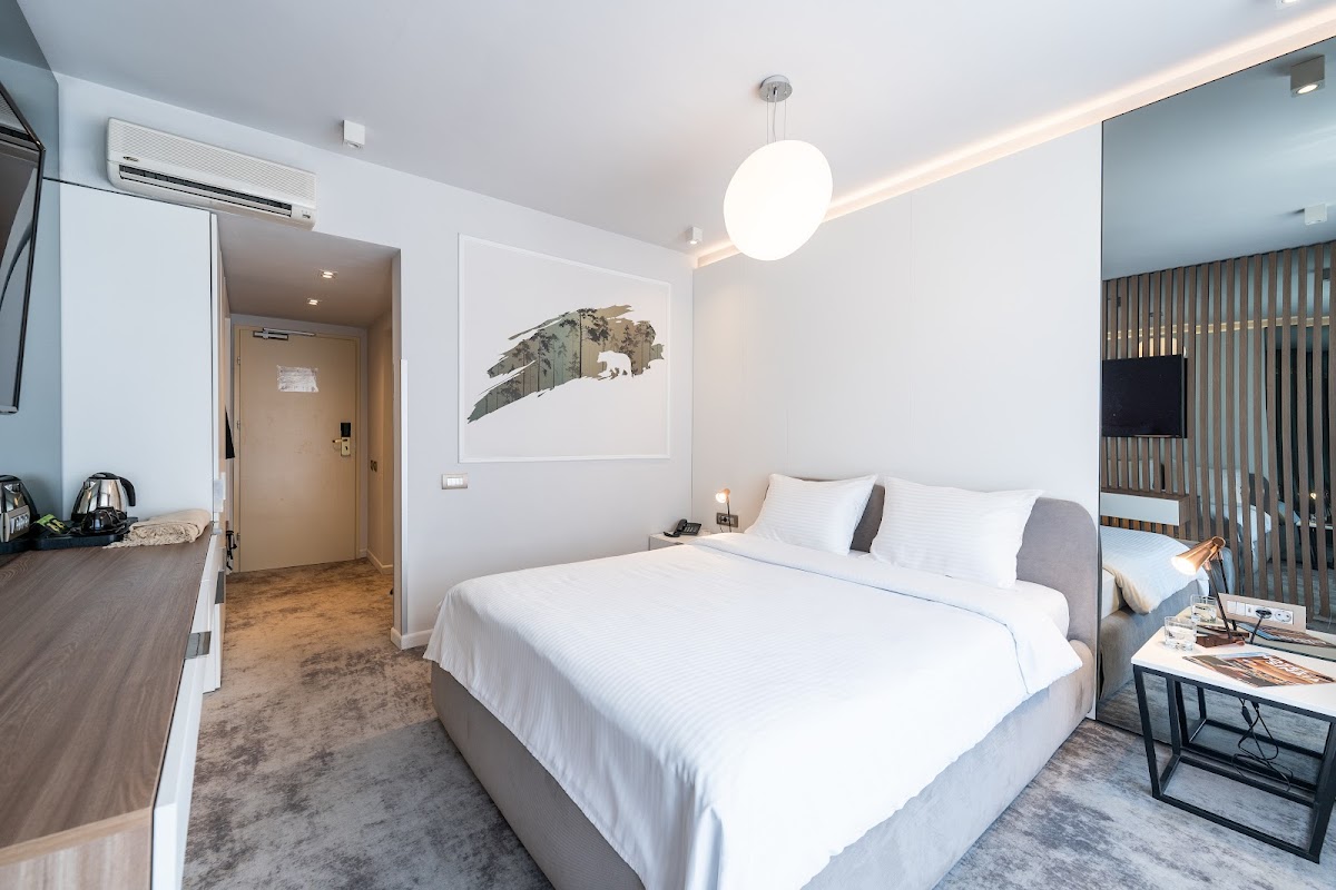 Hotel Sinaia - foto 1