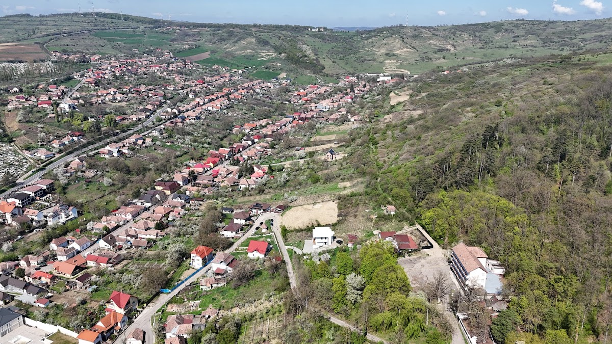 Hotel Trei Brazi, Târnăveni