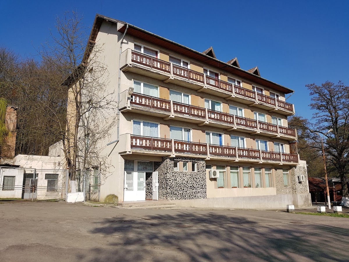 Hotel Trei Brazi