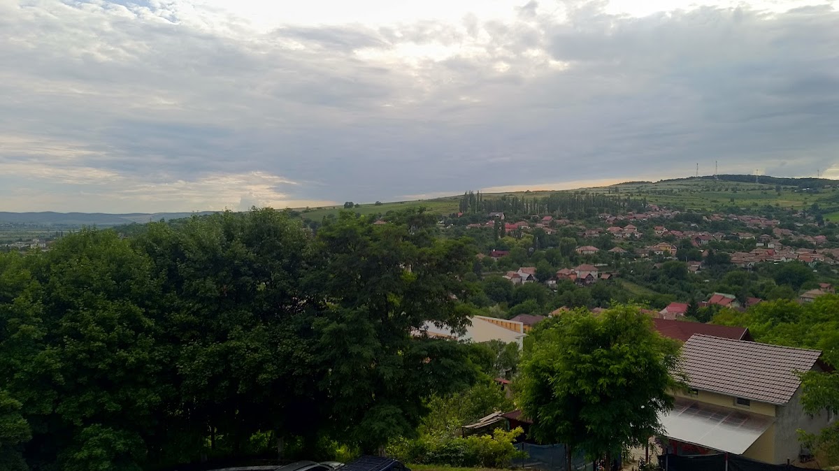 Hotel Trei Brazi