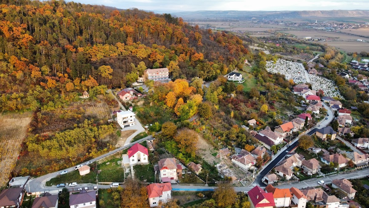 Hotel Trei Brazi