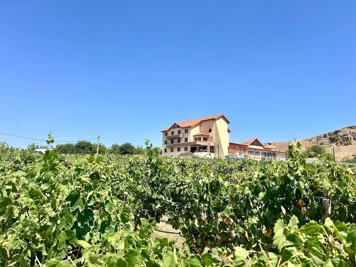 Hotel Troesmis - foto 3