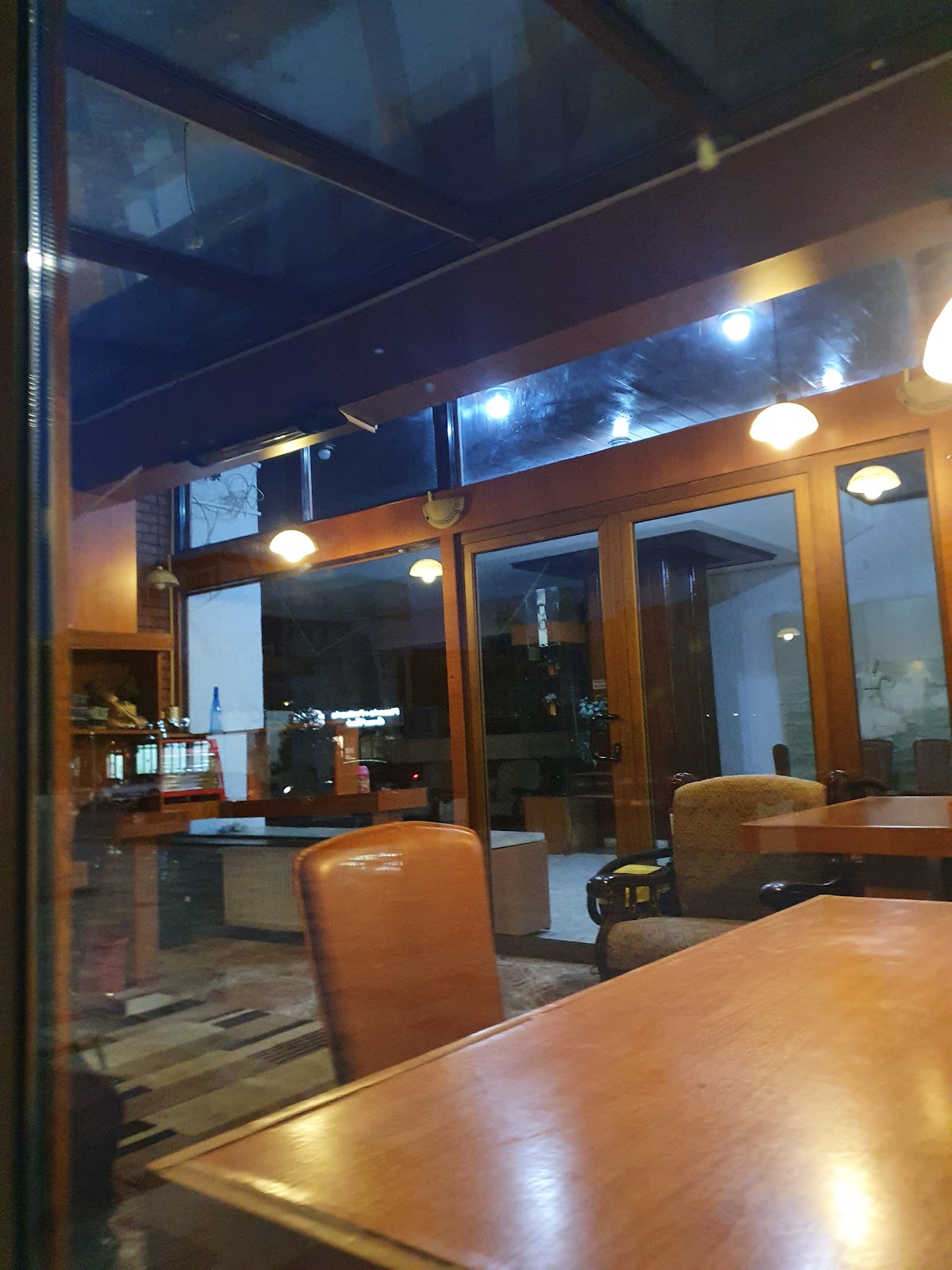 Hotel Vedea