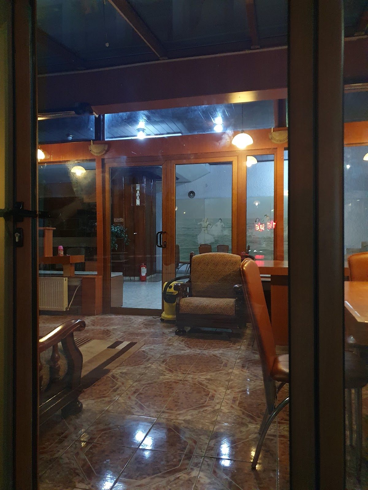 Hotel Vedea