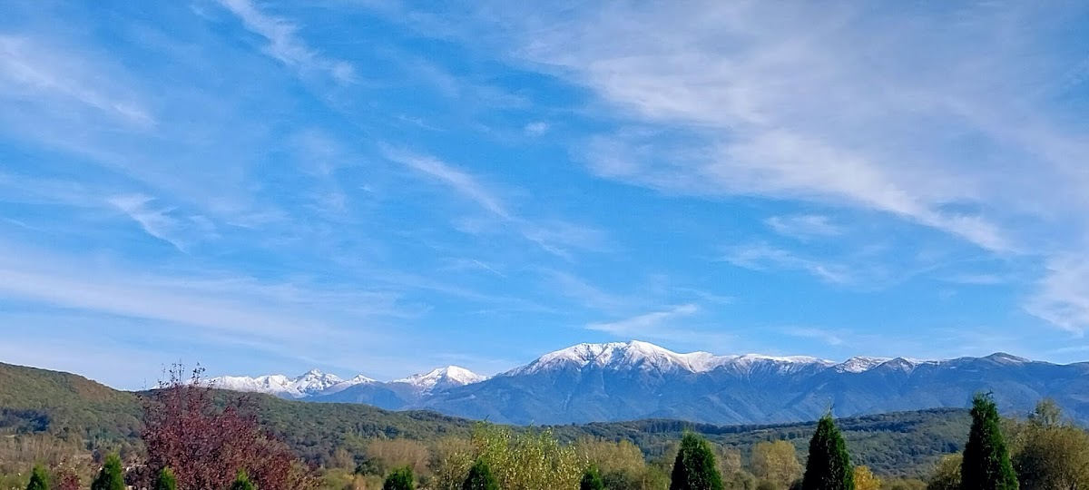 Hotel Veștem - foto 5
