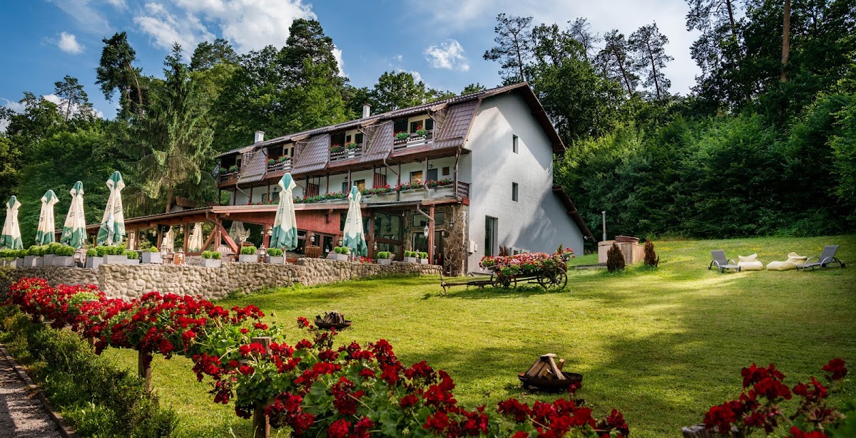 Hunter Vip Reghin - foto 1