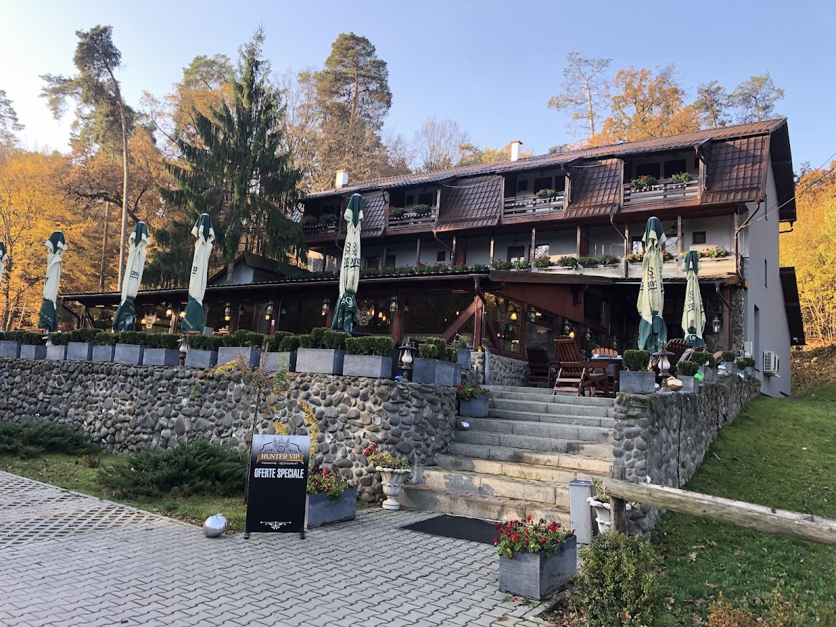 Hunter Vip Reghin - foto 3