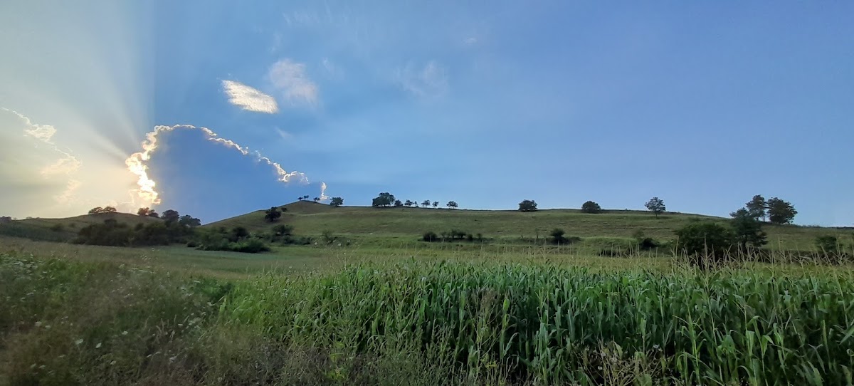 Ighișu Nou - foto 3