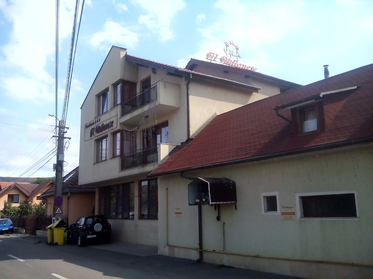 Il Milanese - foto 4