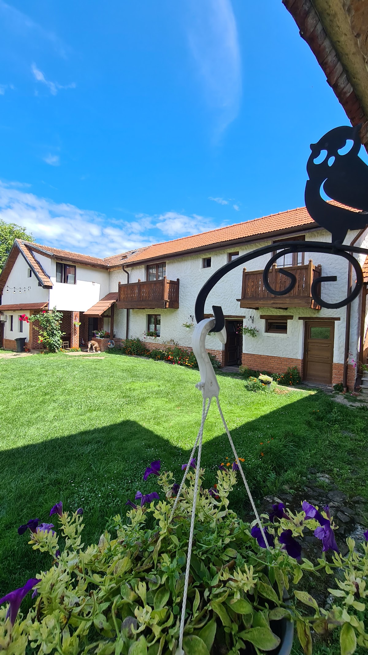 Ilimbav 122 - Guest House - foto 1