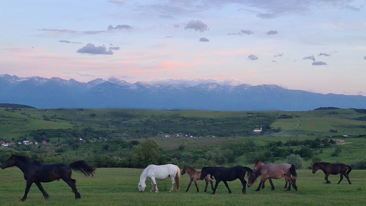 Ilimbav 122 - Guest House - foto 3