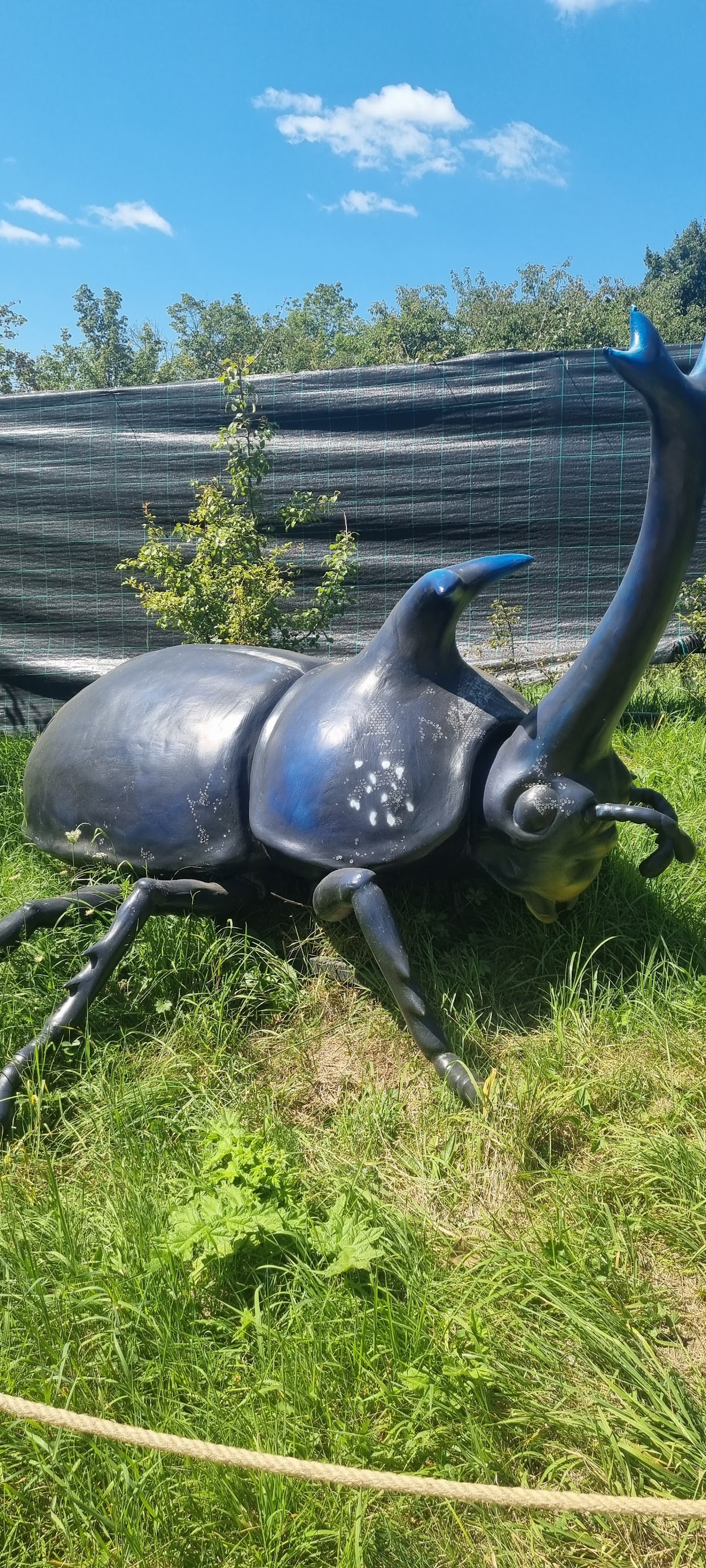 Insect Park