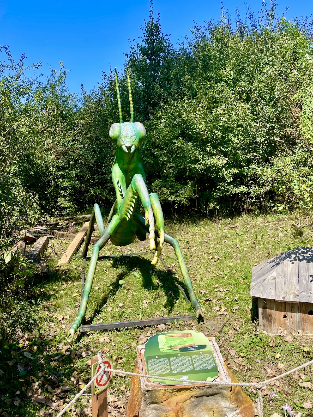 Insect Park - foto 2