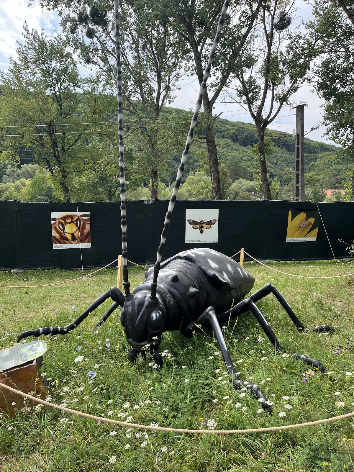 Insect Park - foto 3