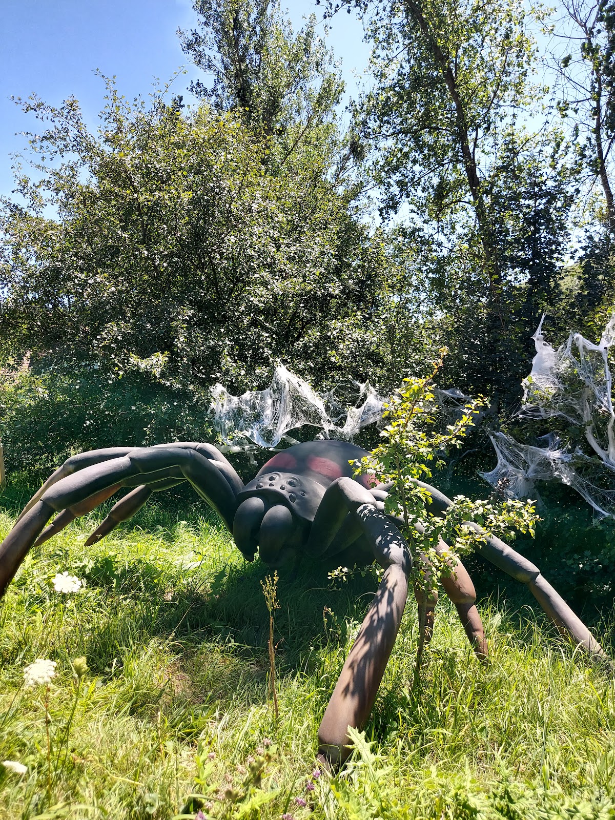Insect Park - foto 4
