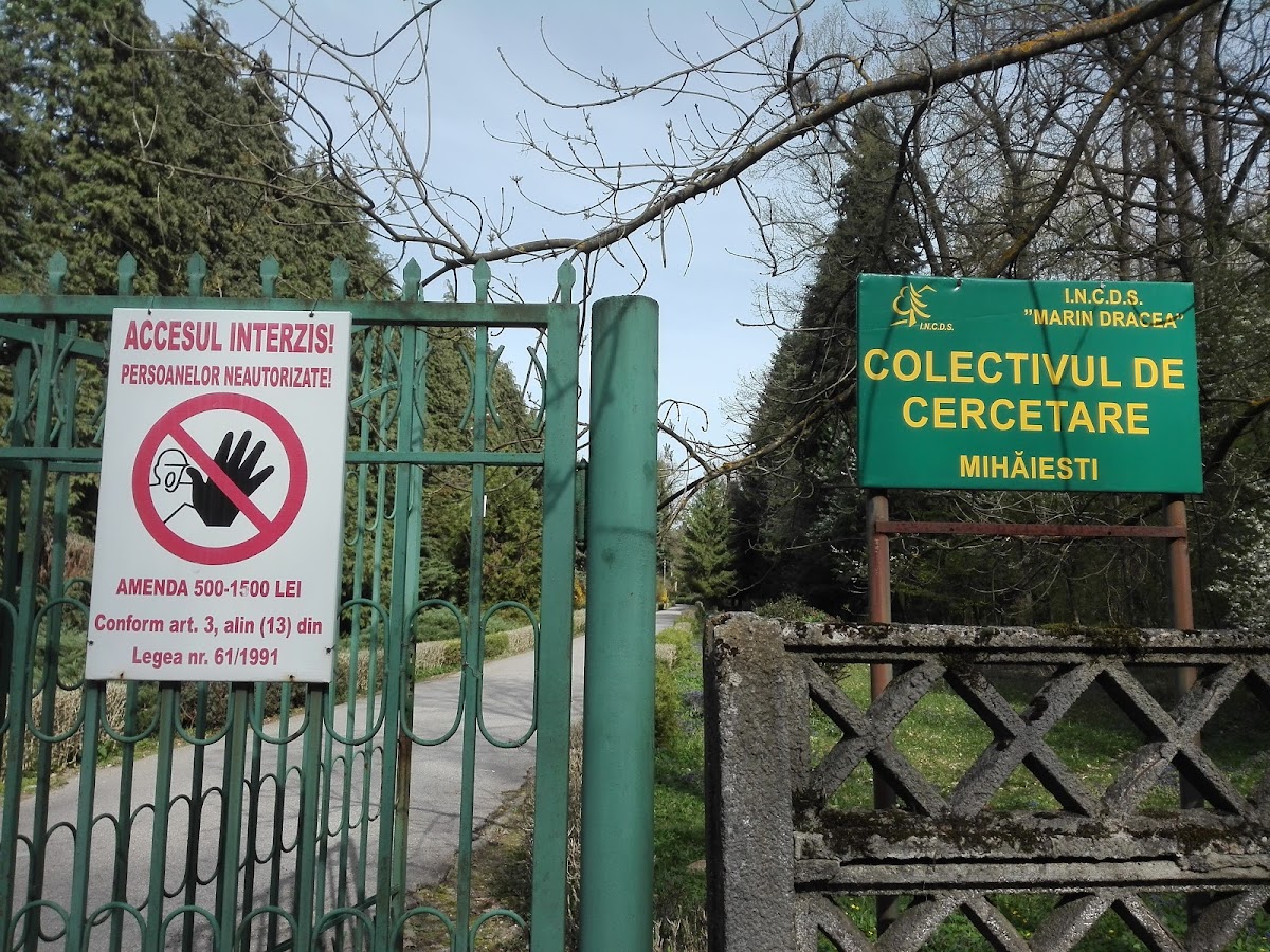 Institutul de Cercetări și Amenajări Silvice - Ocolul Silvic Experimental Mihăești, Mihăeşti