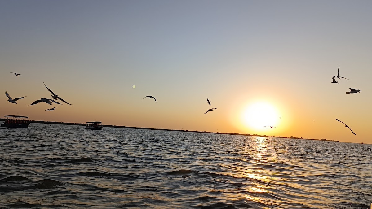 Insula păsărilor - foto 2