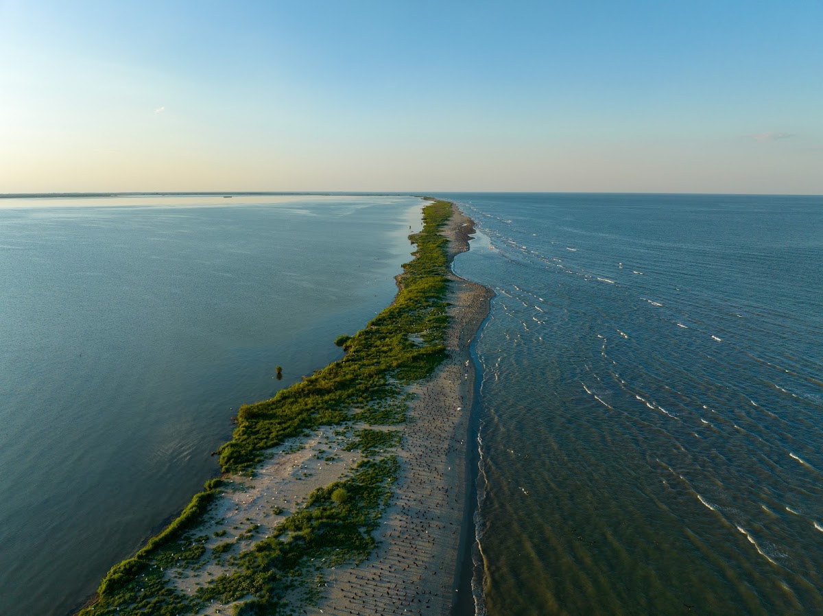 Insula păsărilor - foto 3