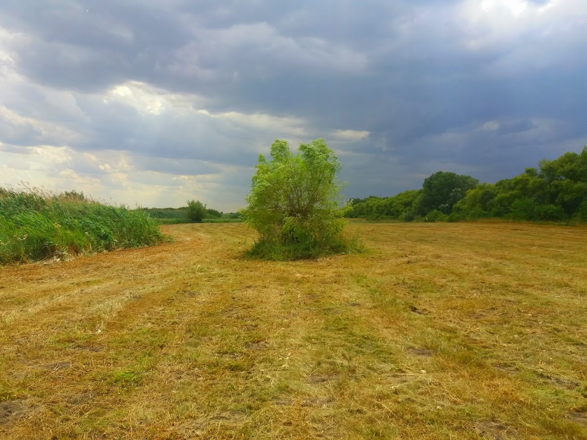 Intrare In Rezervatia Satchinez - foto 2