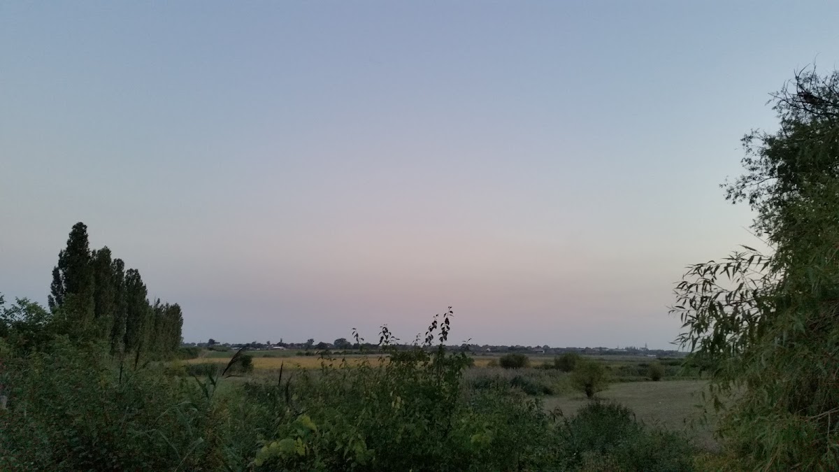 Intrare In Rezervatia Satchinez - foto 5