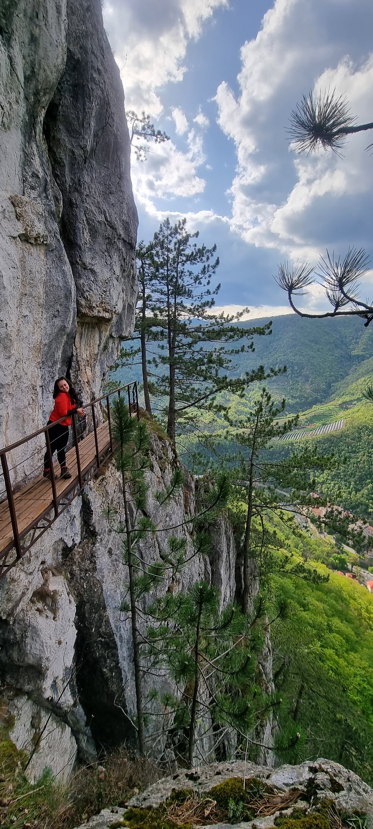 Entrée du Sentier Crucea Albă - foto 5