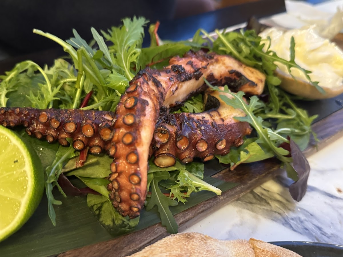 Ivy Park Giurgiu - foto 5