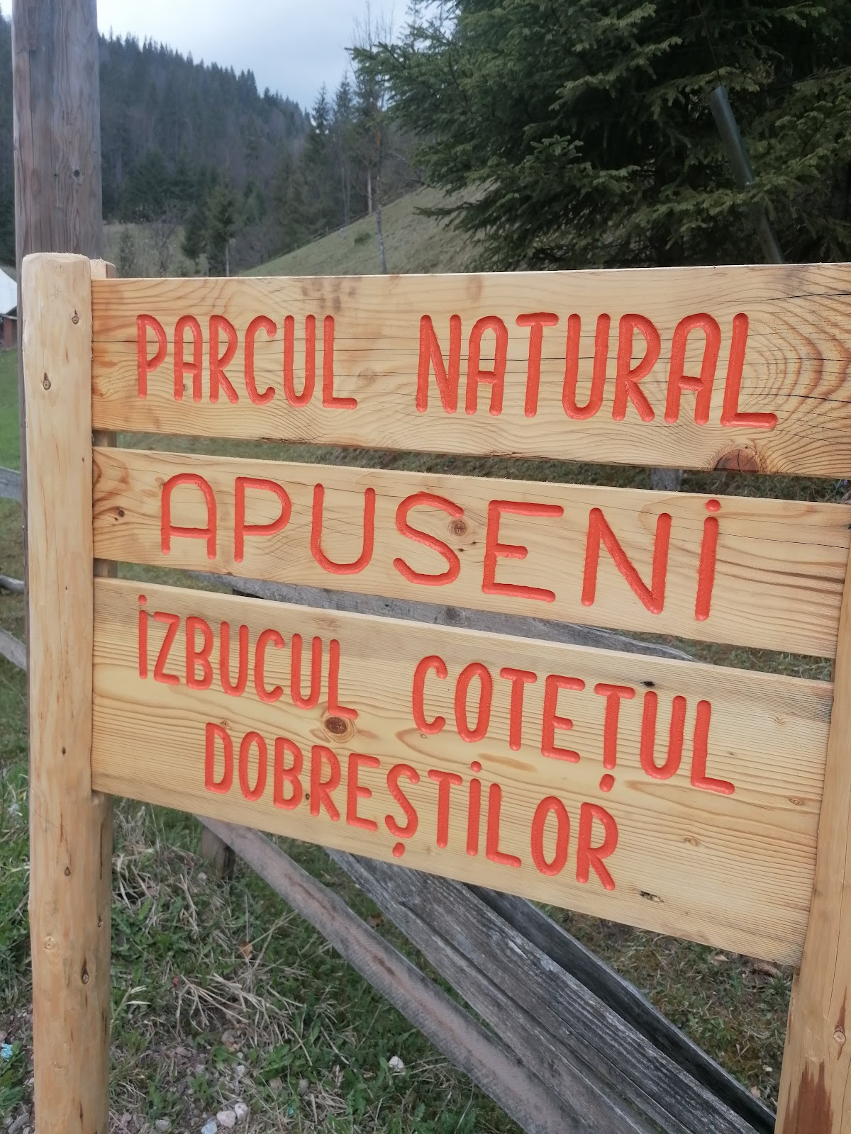 Izbucul de la Cotețul Dobreștilor - foto 3