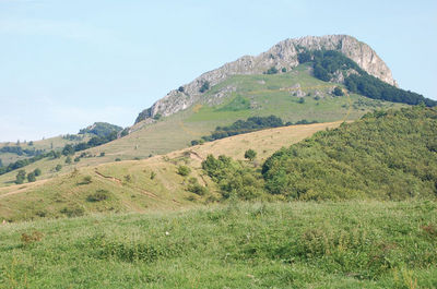 Izvoare naturale Craiva, Craiva