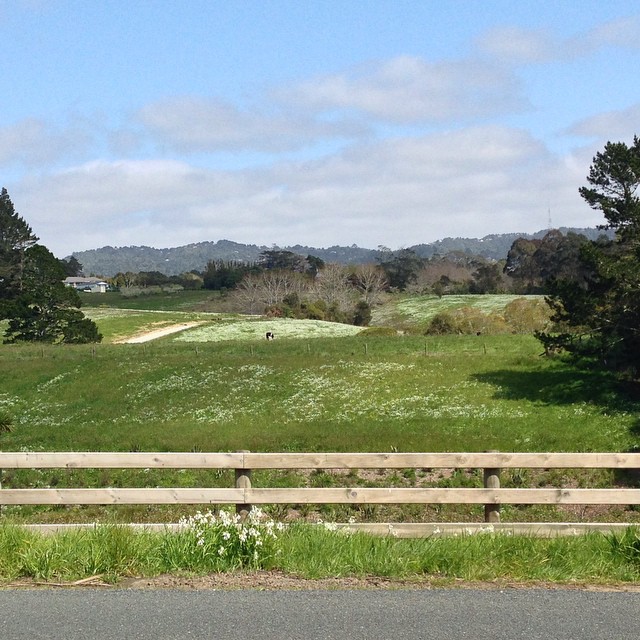 Natuerliche Quellen Oratia, Oratia