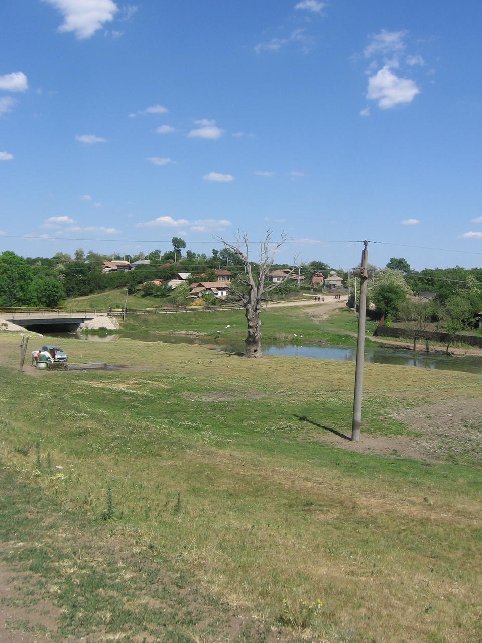 Izvoare naturale Plopi, Plopi