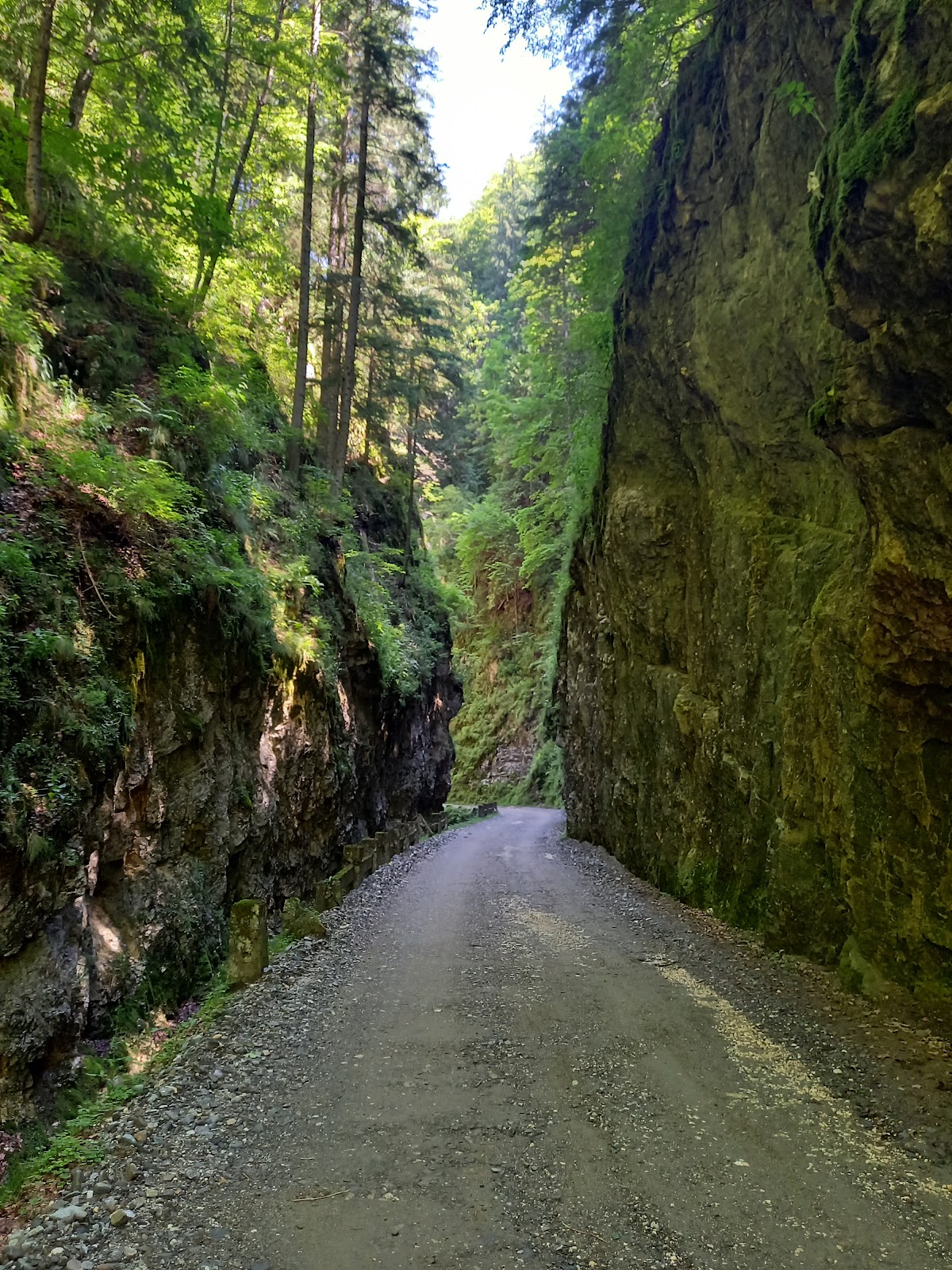 Izvoarele din Plai - foto 5