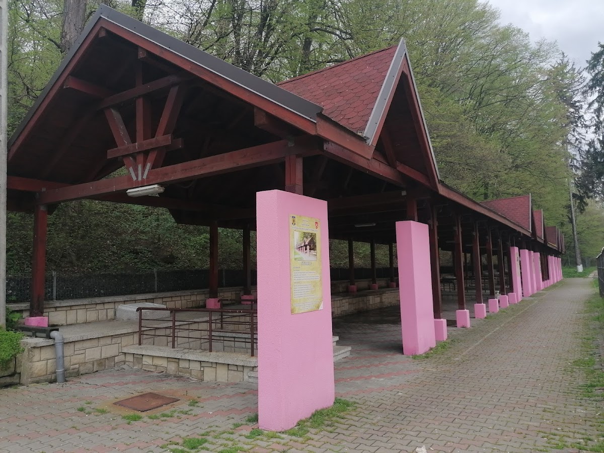 Izvoarele minerale (Cele 7 izvoare) - foto 2