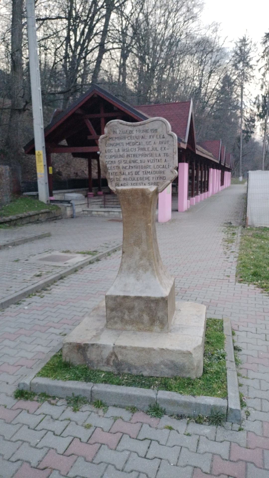 Izvoarele minerale (Cele 7 izvoare) - foto 4