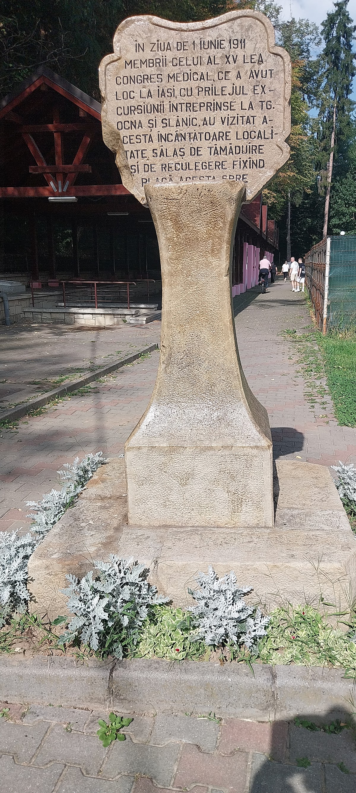 Izvoarele minerale (Cele 7 izvoare) - foto 5