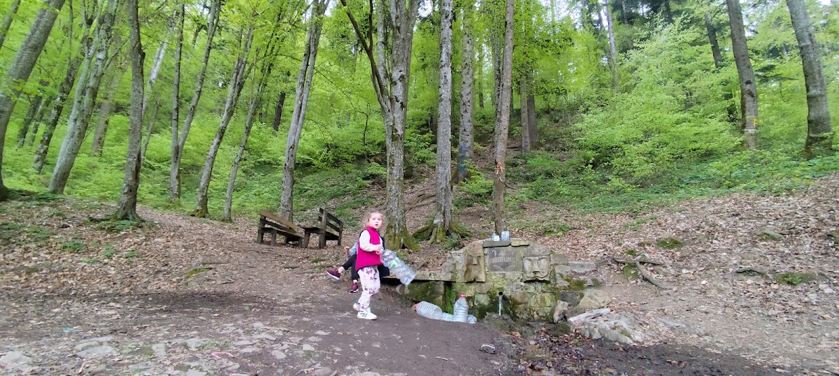 Negulesti Spring - foto 3