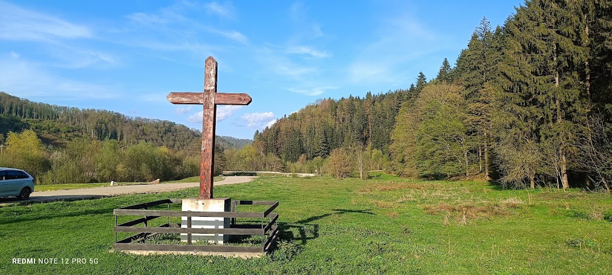 Negulesti Spring - foto 5
