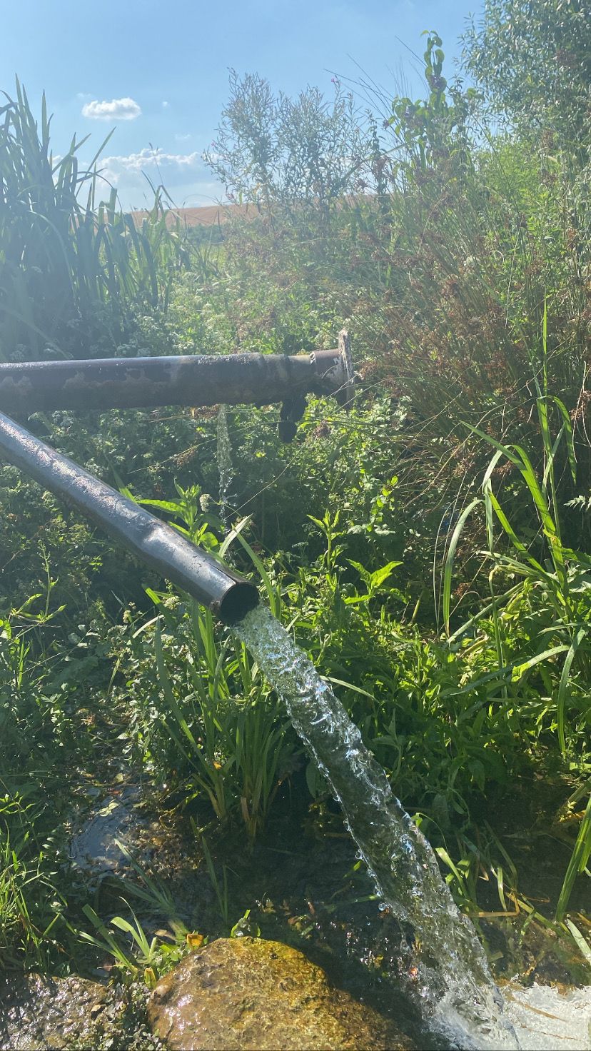 Vinga Water Spring - foto 2