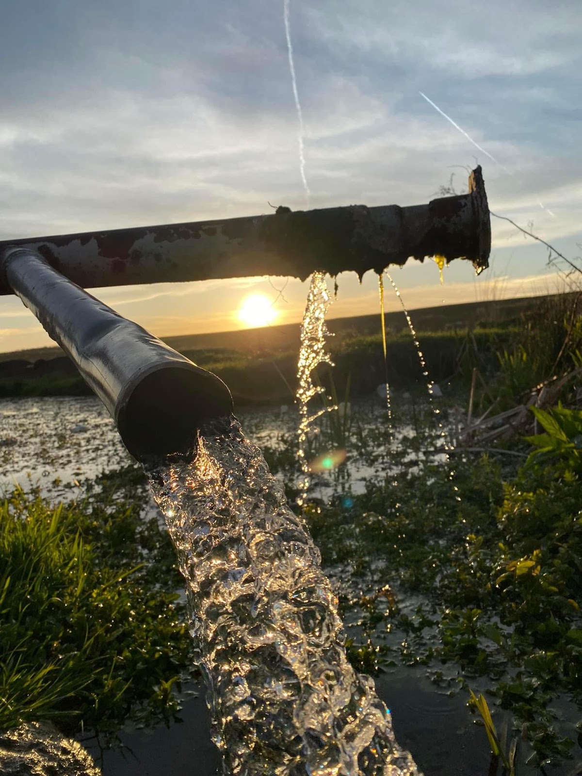 Vinga Water Spring - foto 3