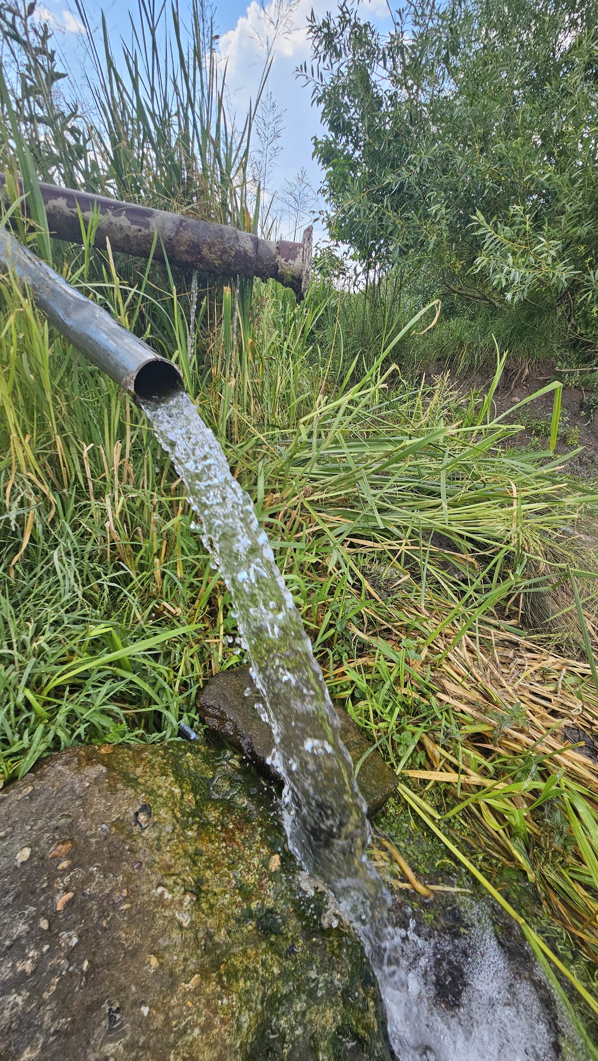 Vinga Water Spring - foto 4