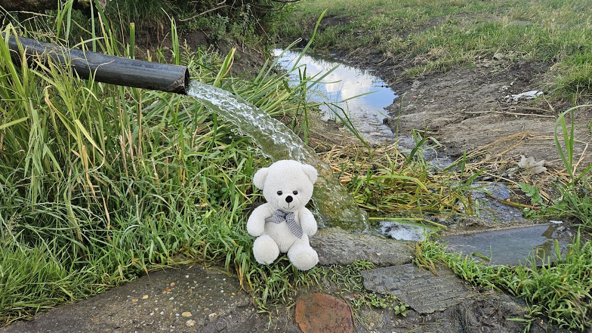 Vinga Water Spring - foto 5