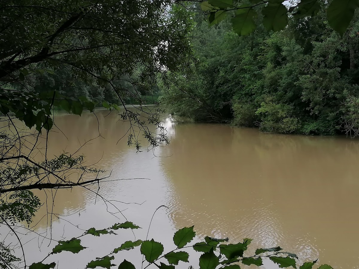 Izvor cu apa minerala Tinca - foto 4