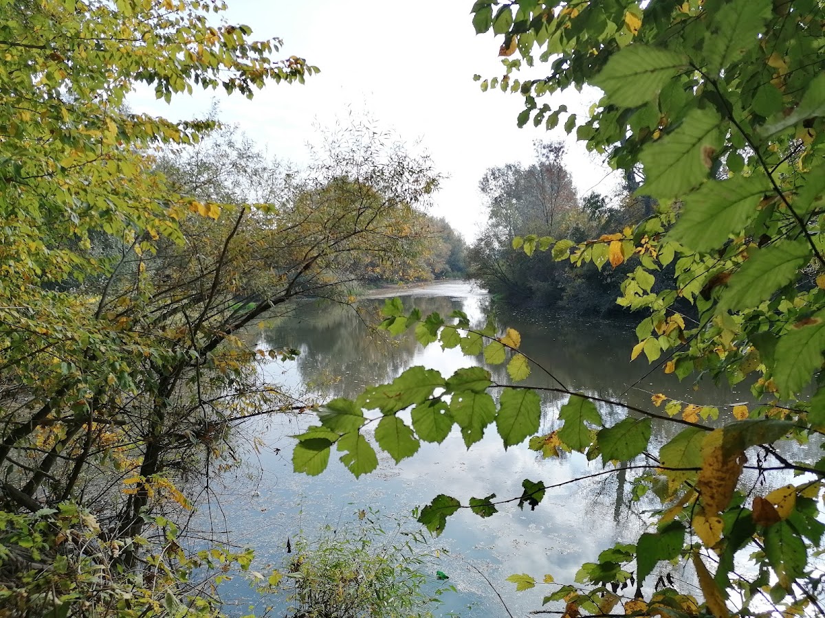 Izvor cu apa minerala Tinca - foto 5
