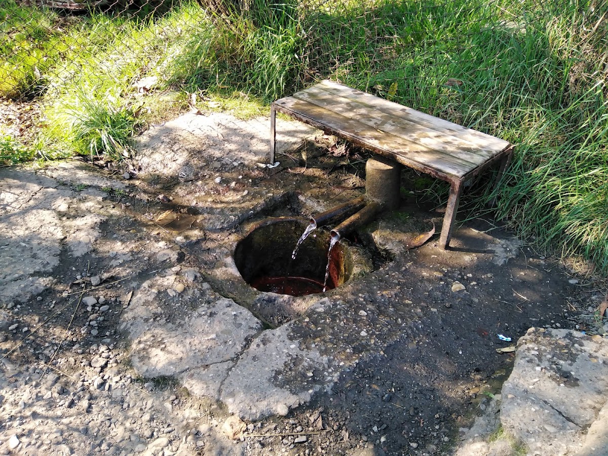 Mineralwasserquelle Boholt - foto 2