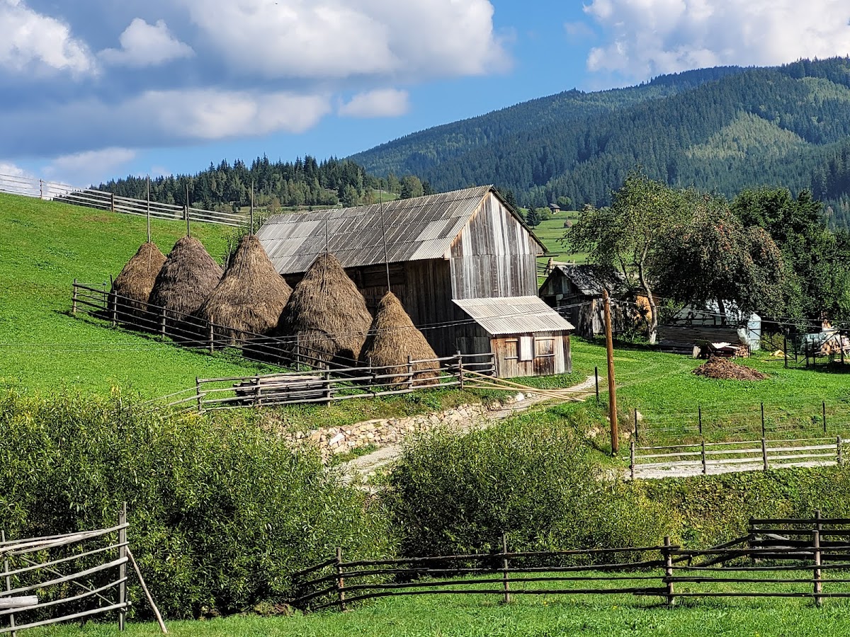 Bilbor