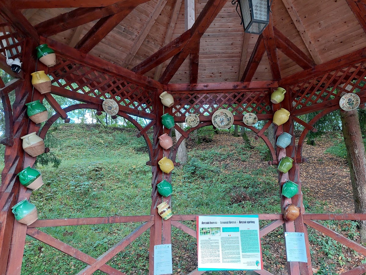 Izvorul de apă minerală Árcsó - foto 2