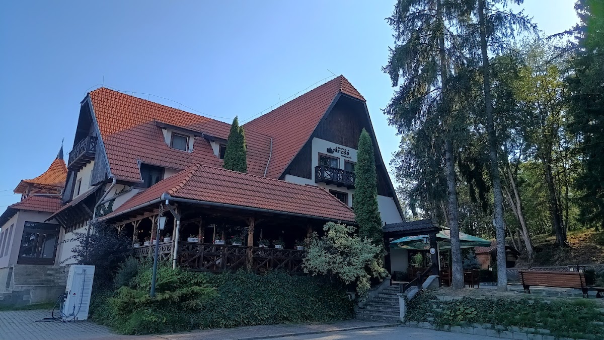 Izvorul de apă minerală Árcsó - foto 3