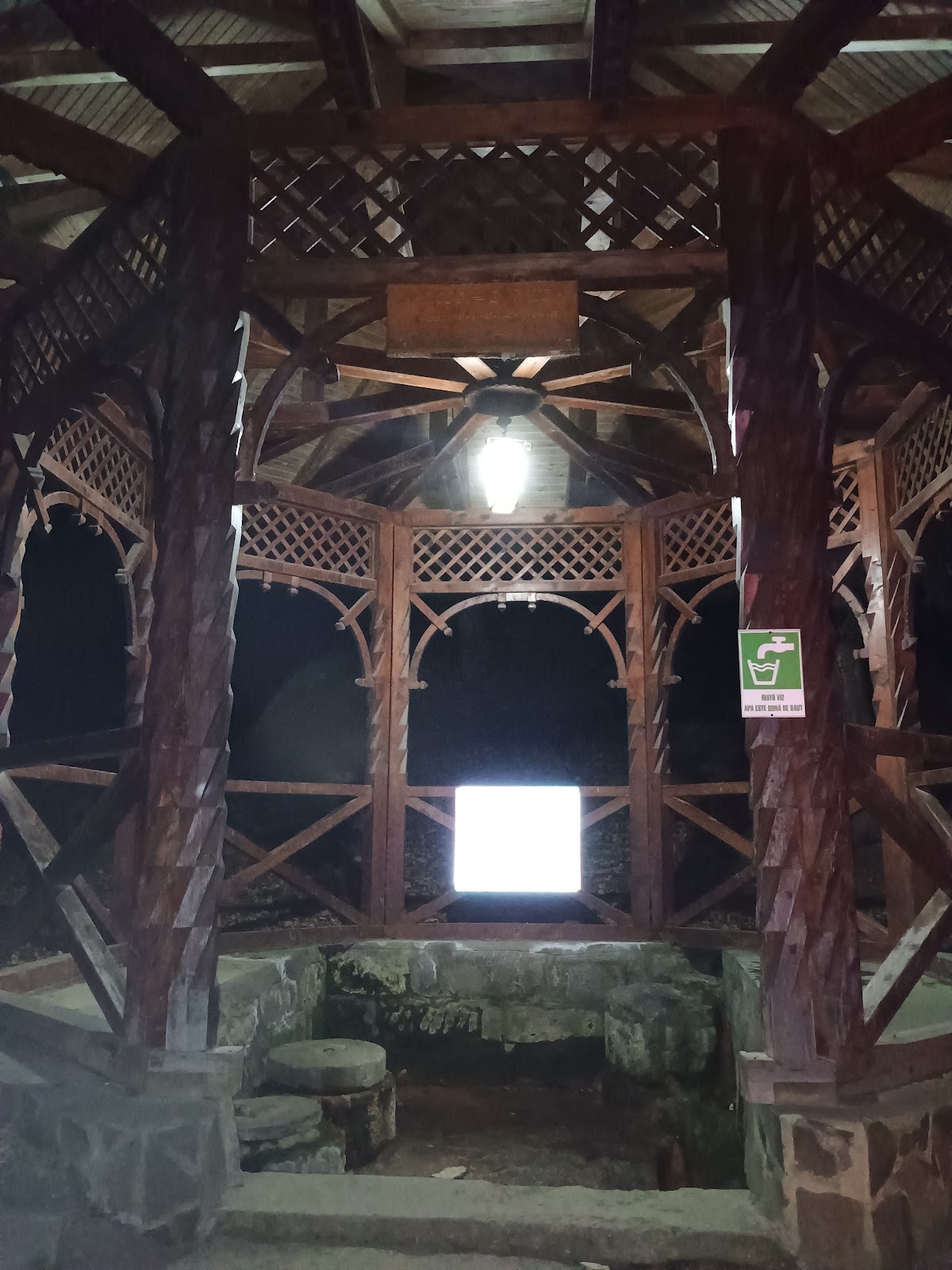 Izvorul de apă minerală Árcsó - foto 5