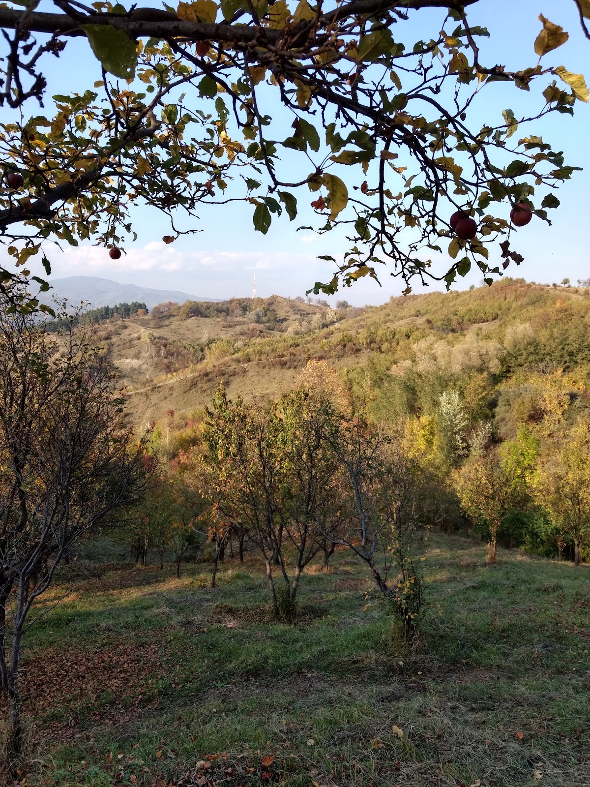 Izvorul Fântâna Rece - foto 2